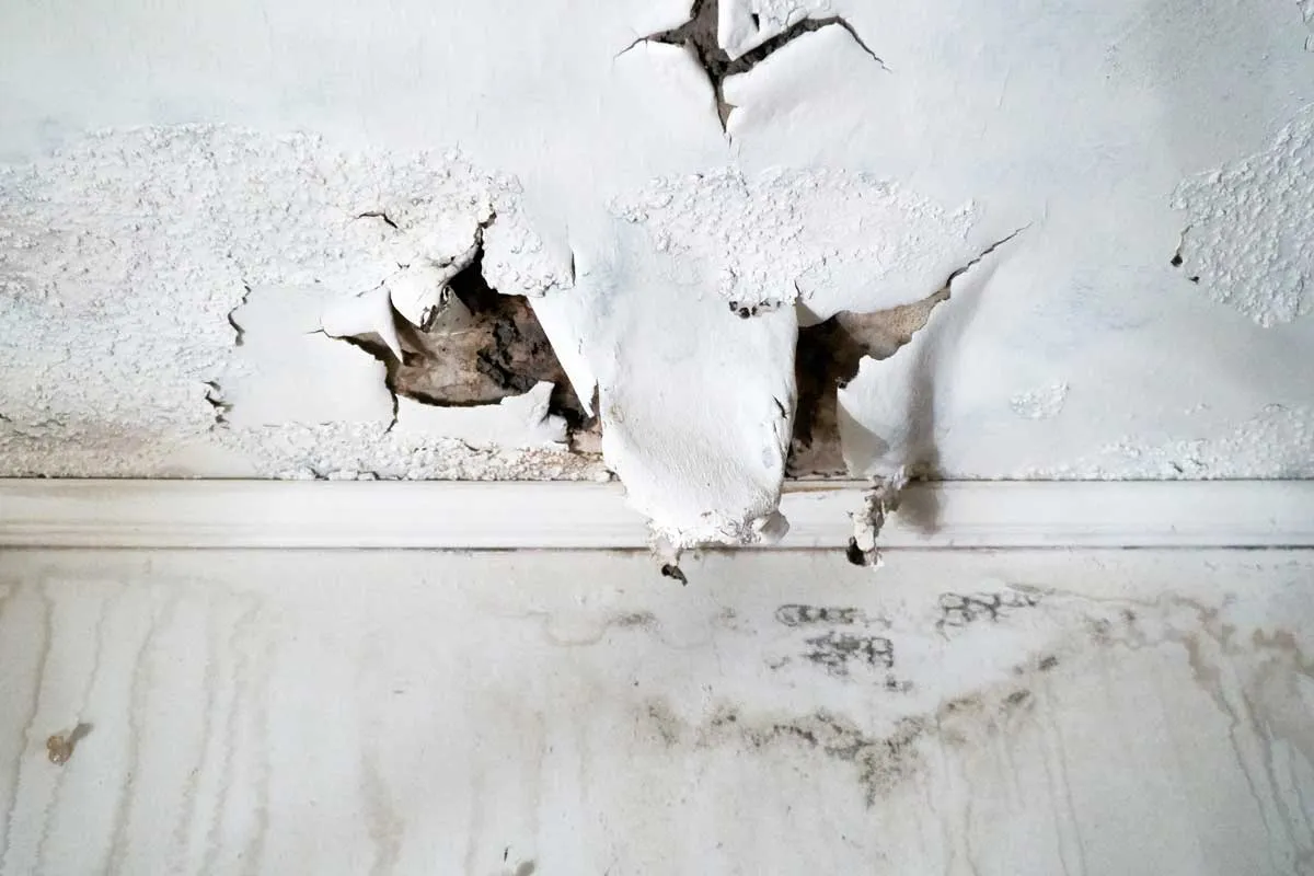 Property Reconstruction