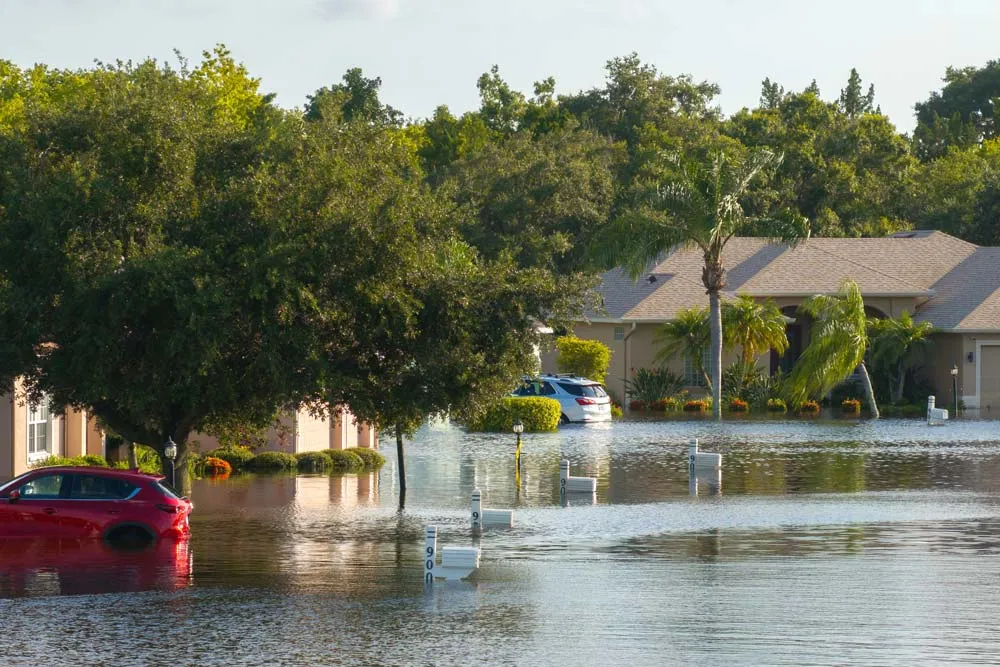 Storm Damage Restoration